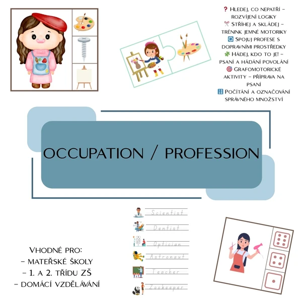 occupation / profession