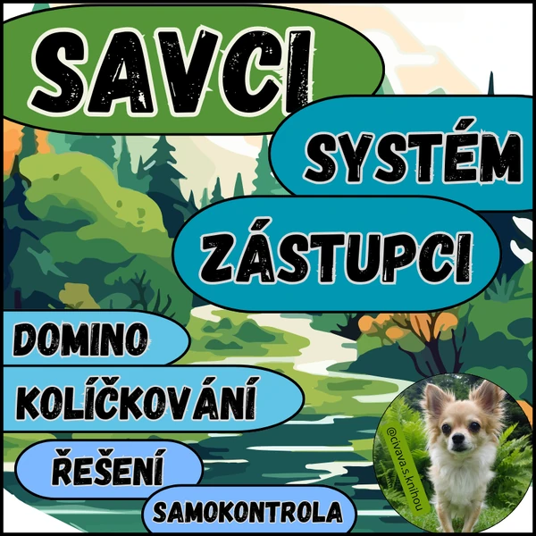 Savci - domino, kolíčkování (systém, zástupci)
