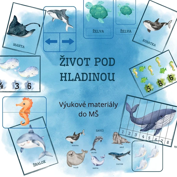 Život pod hladinou 🐠