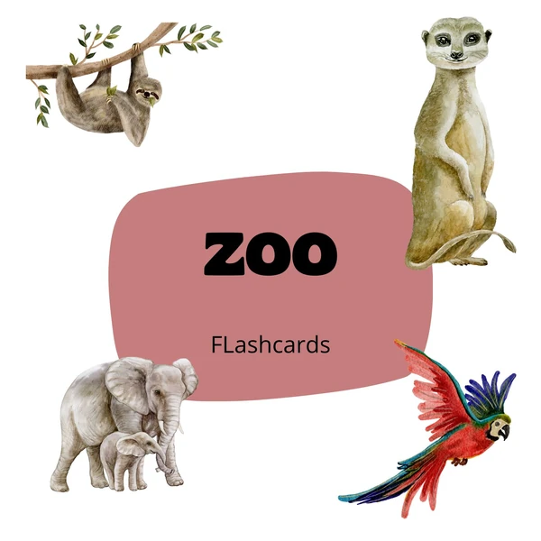 ZOO - flaschcards