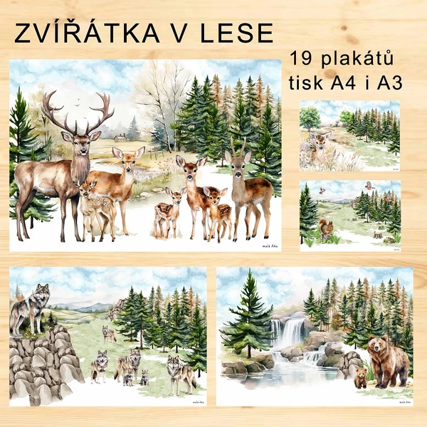 ZVÍŘÁTKA V LESE - PLAKÁTY