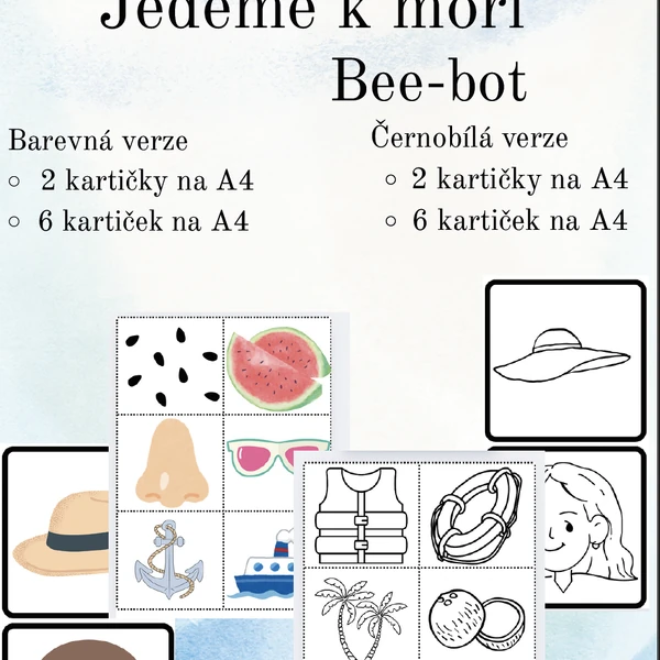 Výlet k moři -Bee bot 