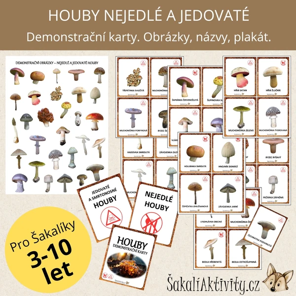  HOUBY - NEJEDLÉ A JEDOVATÉ - demonstrační karty 