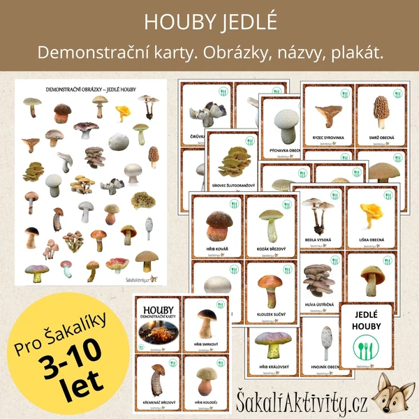  HOUBY - JEDLÉ - demonstrační karty 