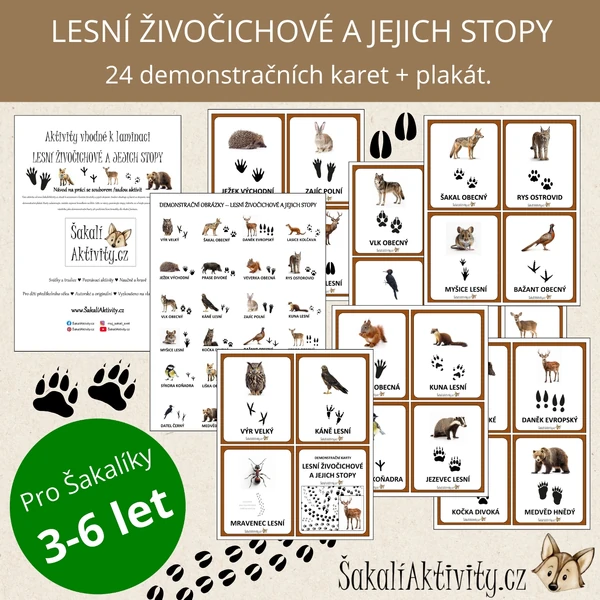  Lesní živočichové a jejich stopy - demonstrační karty 