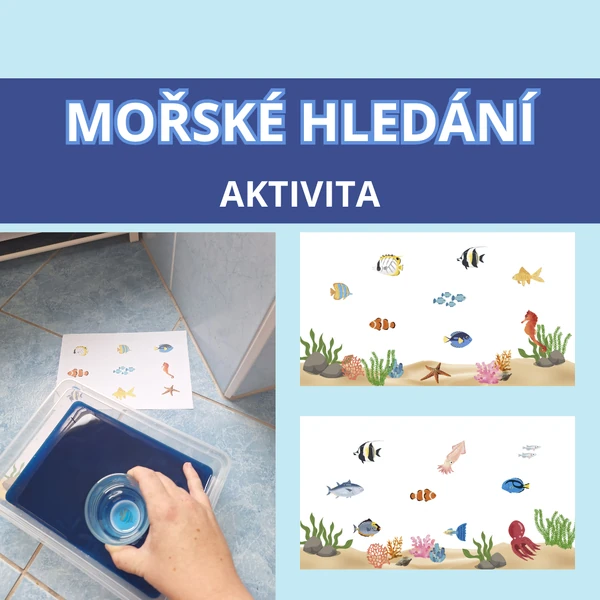 Mořské hledání - aktivita
