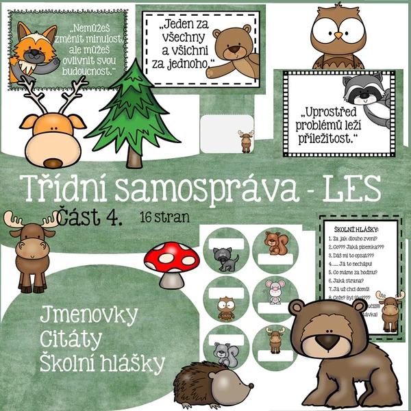 Třídní samospráva - LES 4.
