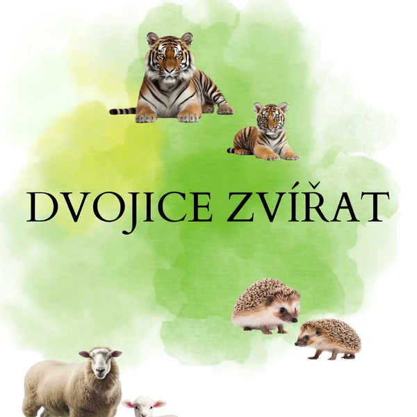 Přiřazování dvojic