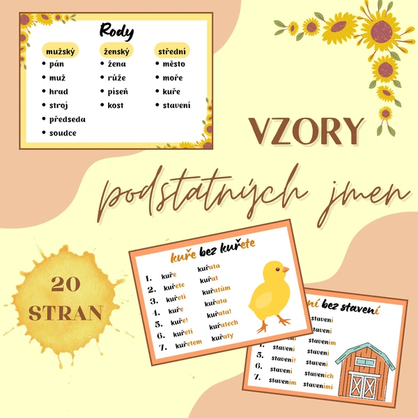 Vzory podstatných jmen - plakátky, pády, miniatury do sešitu