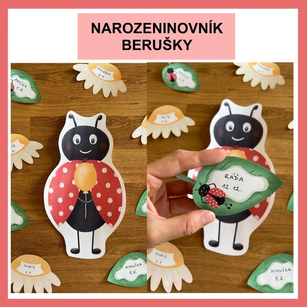 Narozeninovník a cedulky - berušky