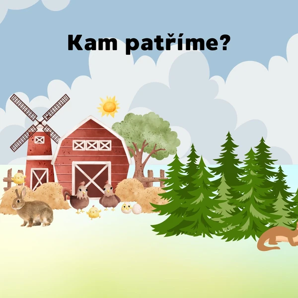 Kam patříme?