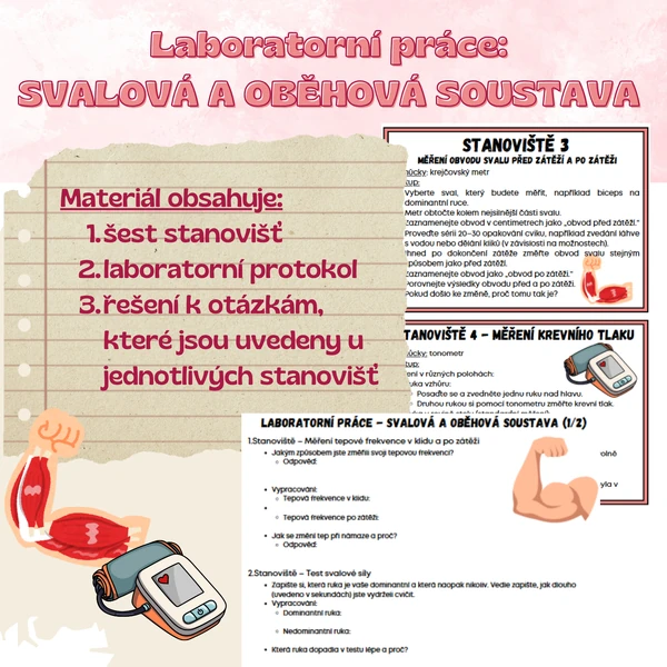 Laboratorní práce - Svalová a oběhová soustava
