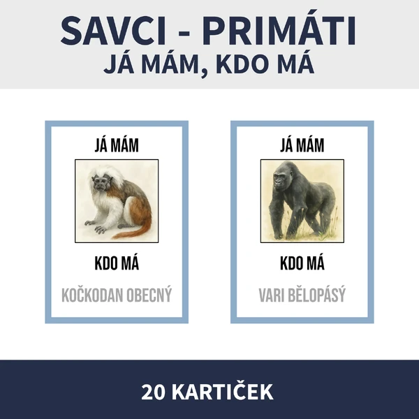 SAVCI PRIMÁTI - JÁ MÁM, KDO MÁ