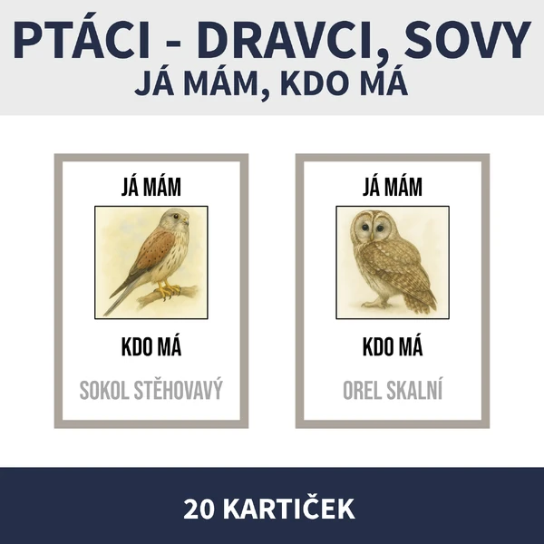 PTÁCI DRAVCI, SOVY - JÁ MÁM, KDO MÁ