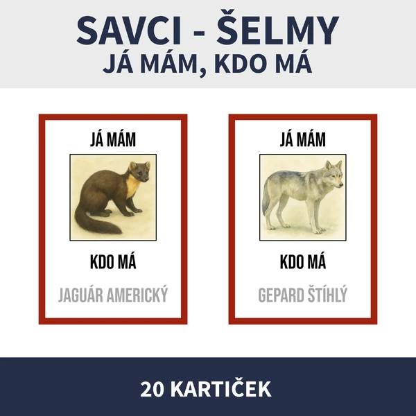 SAVCI ŠELMY - JÁ MÁM, KDO MÁ