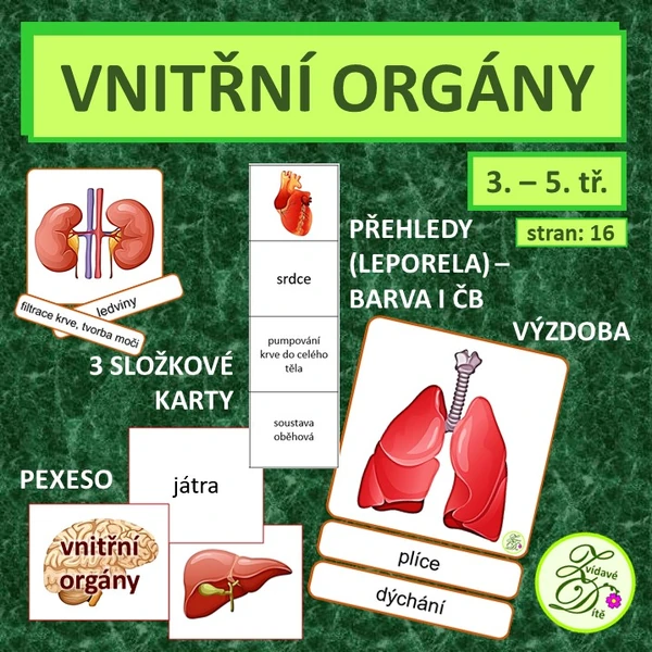 Vnitřní orgány
