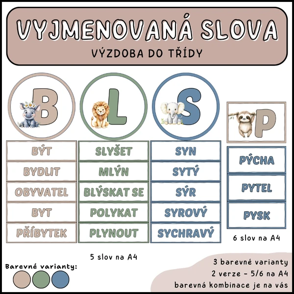 Vyjmenovaná slova - demonstrační karty (výzdoba)