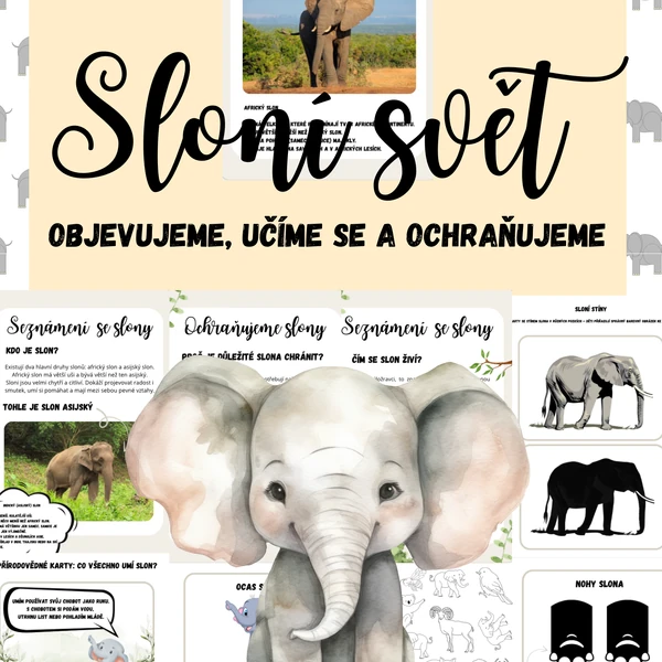 Sloní svět — objevujeme a chráníme SLONY