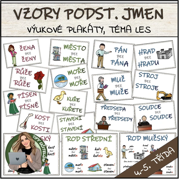 Vzory podstatných jmen - přehledové karty, téma LES
