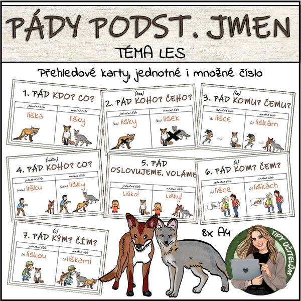 Pádové otázky, pády - téma LES