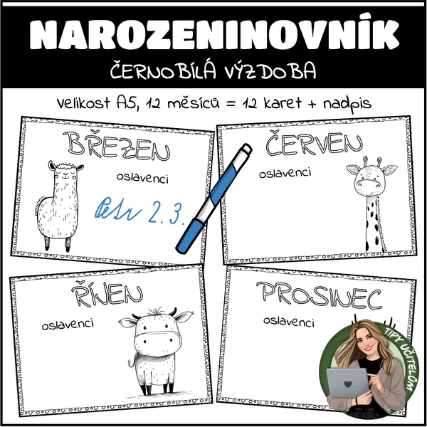 Narozeninovník - černobílá výzdoba