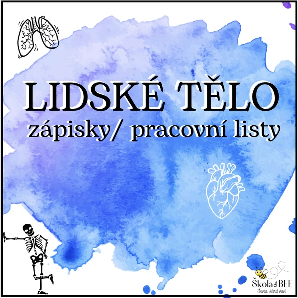 Lidské tělo