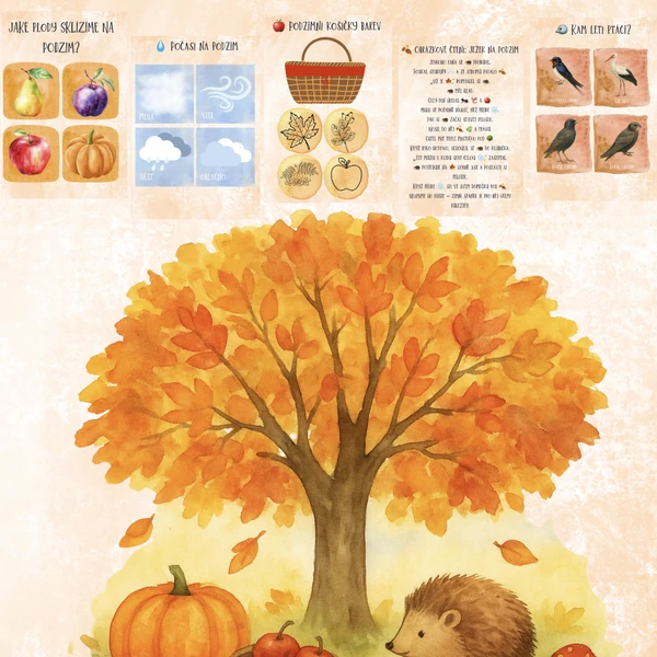 🍁 PODZIMNÍ SVĚT KOLEM NÁS – soubor aktivit pro mateřské školy 🍂✨