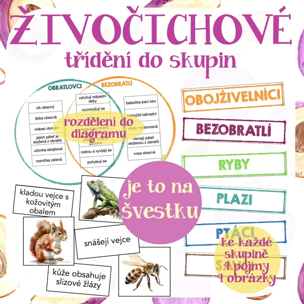Živočichové - rozdělení do skupin