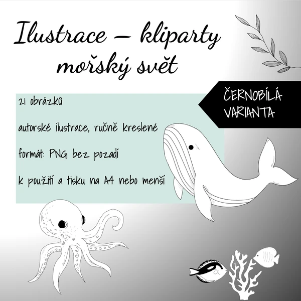 Černobílé ilustrace - mořský svět