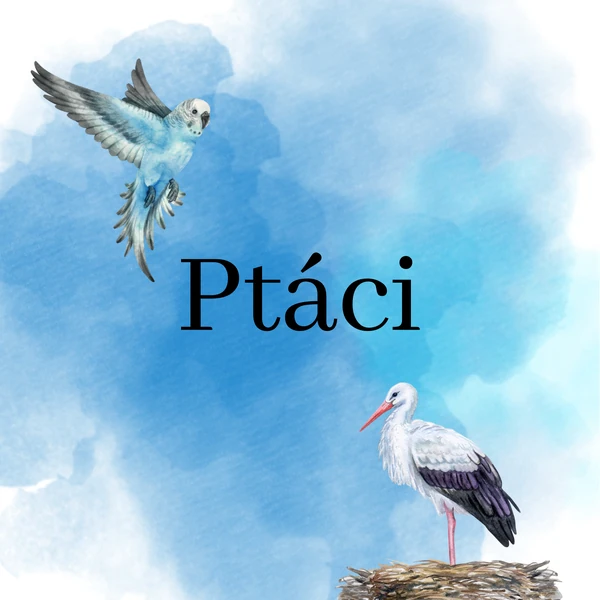 Ptáci