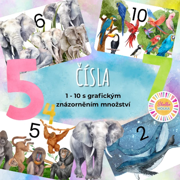ČÍSLA (1 - 10) demonstrační kartičky