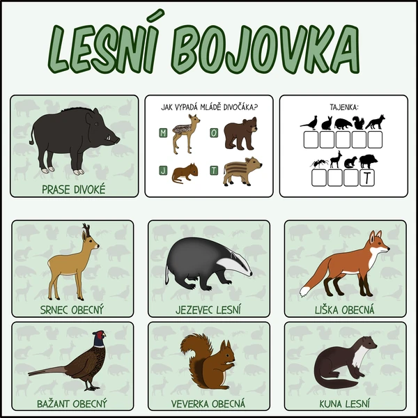 Lesní bojovka