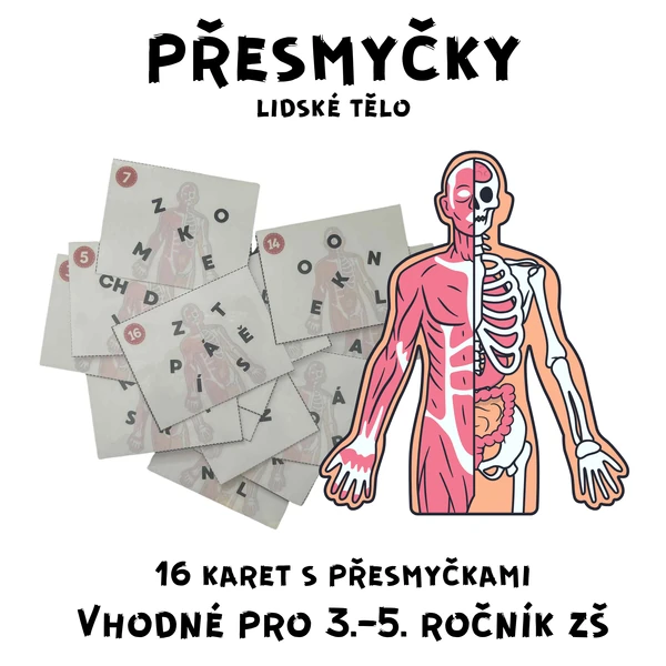 Přesmyčky - lidské tělo