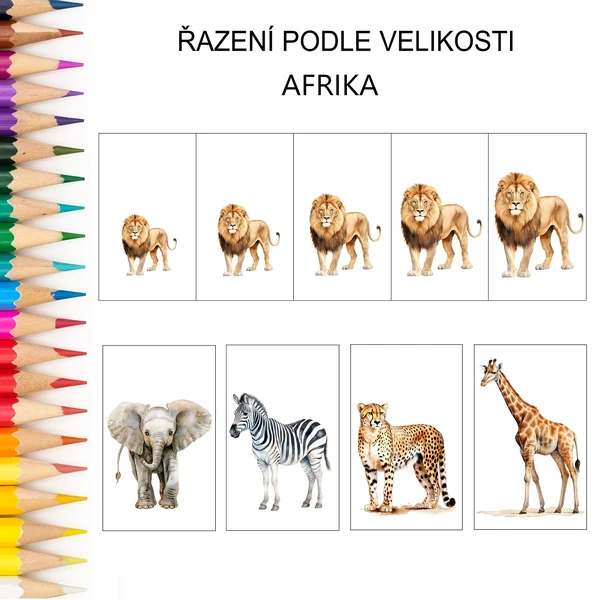 Řazení podle velikosti AFRIKA