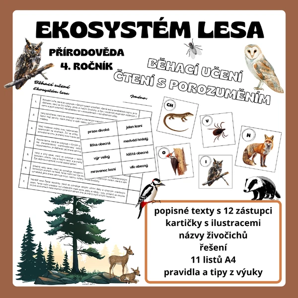 Ekosystém lesa - běhačka a čtení s porozuměním