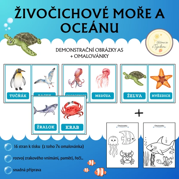 Živočichové moře a oceánu - demonstrační obrázky + omalovánky