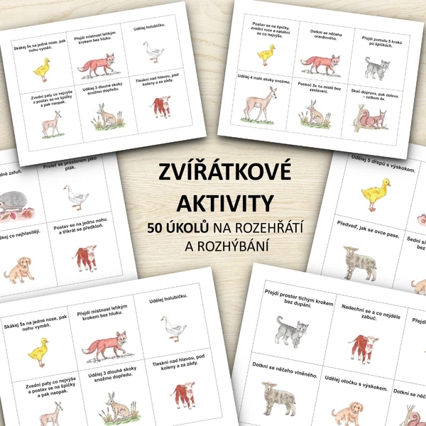 Zvířátkové aktivity - karty s úkoly 