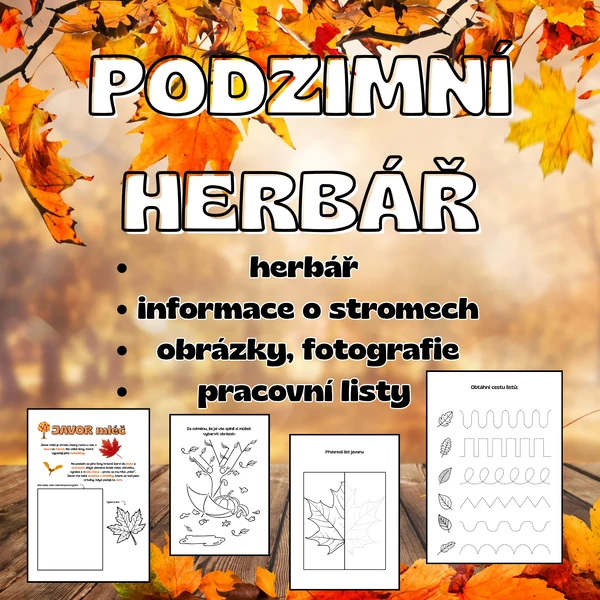 Podzimní herbář 