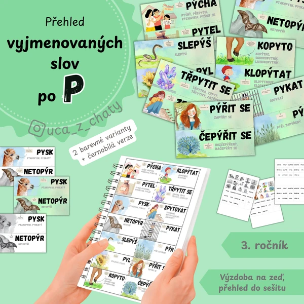 Přehled vyjmenovaných slov po P