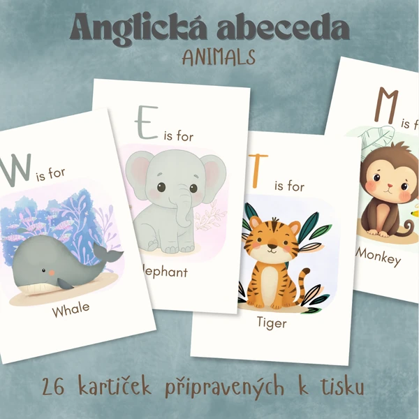 Kartičky s anglickou abecedou 
