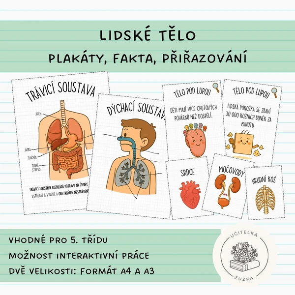 Lidské tělo plakáty, fakta, přiřazování