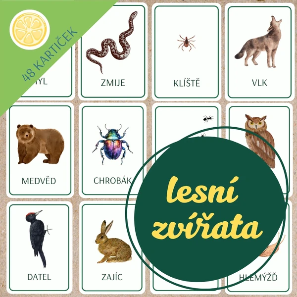LESNÍ ZVÍŘATA - obrázkové demonstrační karty