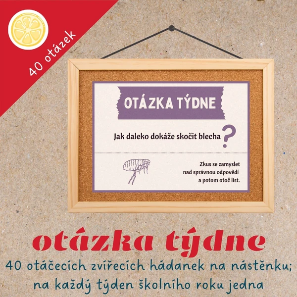 OTÁZKA TÝDNE - otáčecí zvířecí hádanky na nástěnku