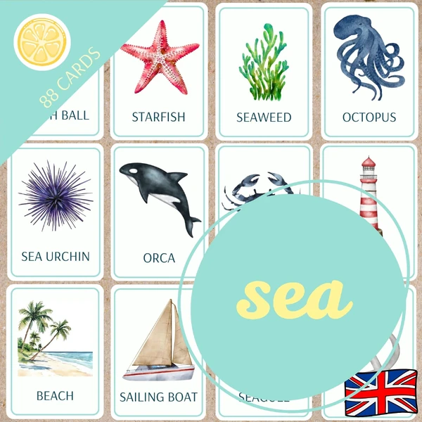 SEA | English flashcards | anglické obrázkové karty