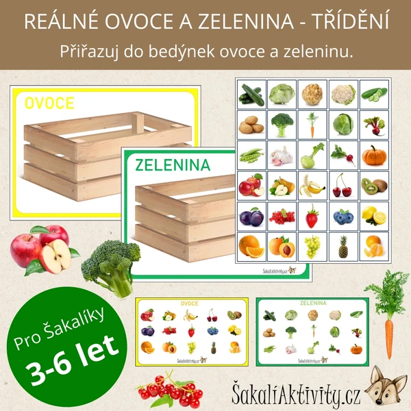  REÁLNÉ OVOCE A ZELENINA - TŘÍDĚNÍ 