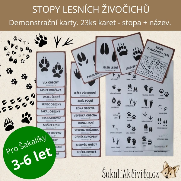  Stopy lesních živočichů - demonstrační karty 