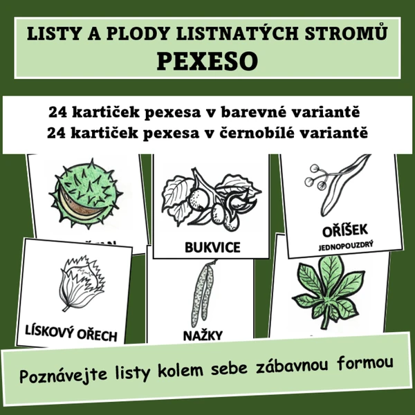 Pexeso - Listy a plody listnatých stromů