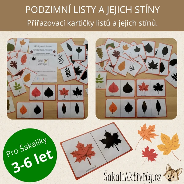  PODZIMNÍ LISTY a jejich stíny 