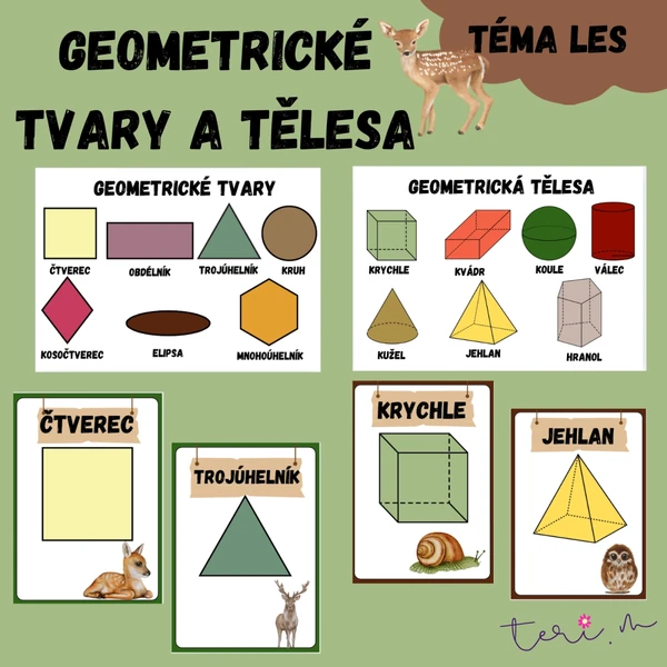 Geometrické tvary a tělesa - téma LES