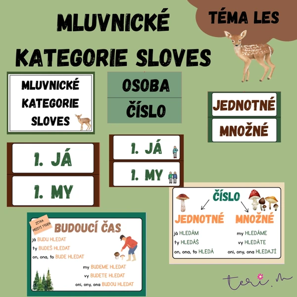 MLUVNICKÉ KATEGORIE SLOVES - téma LES